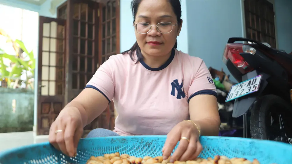 Chị Hoàng Thị Chanh- hộ dân tiên phong triển khai mô hình nuôi đuông dừa ở xã Bình Điền, TP Huế