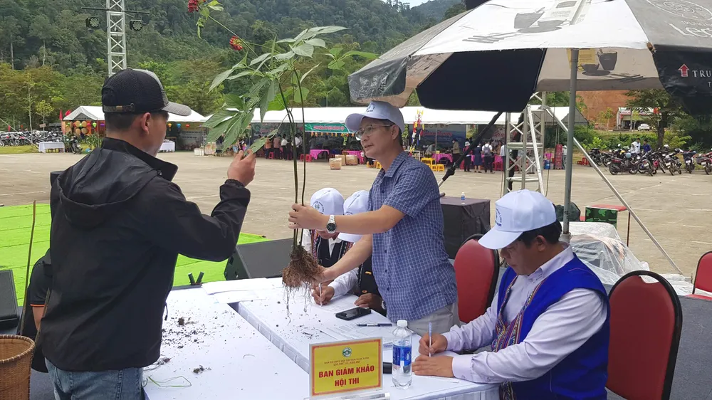 Người dân mang sâm tham gia Hội thi Sâm Ngọc Linh năm 2025