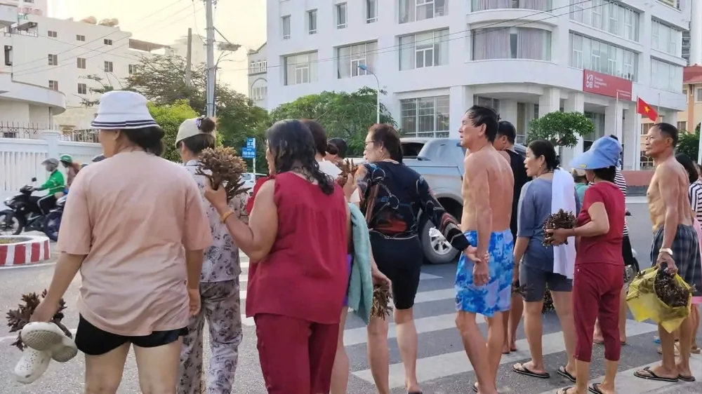Khánh Hòa: Đã xác định nhóm du khách bẻ san hô ở vịnh Nha Trang