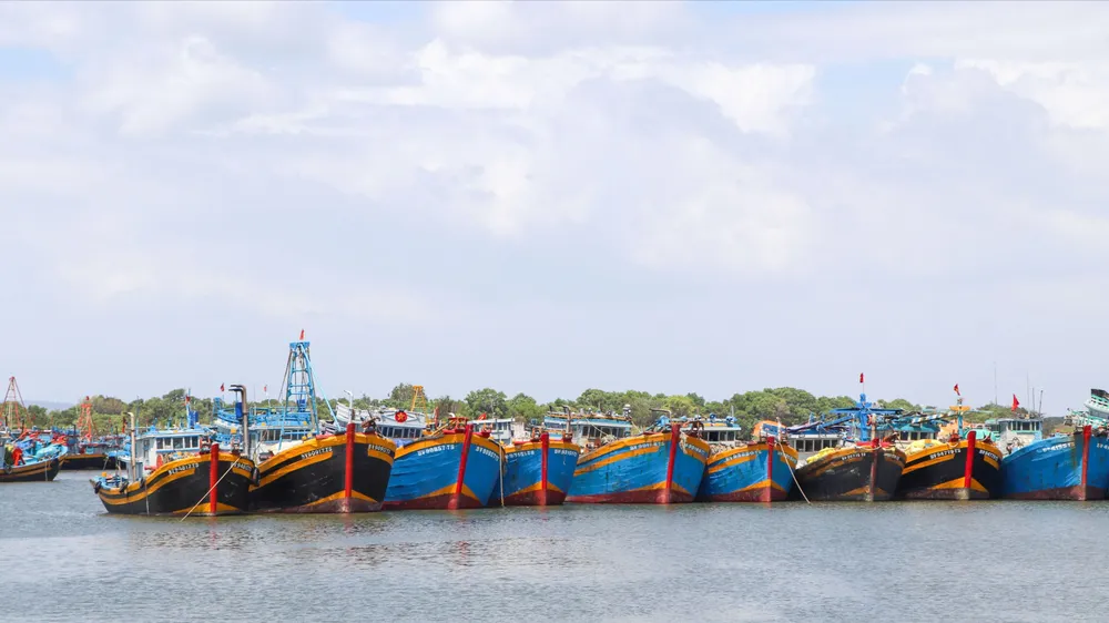 Hiện thành phố có 2.225 tàu cá dài từ 15m trở lên thuộc diện bắt buộc lắp đặt thiết bị VMS. Ảnh: THÀNH HUY