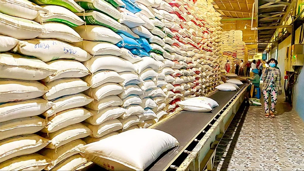 Tạo nền tảng lâu dài cho xuất khẩu gạo