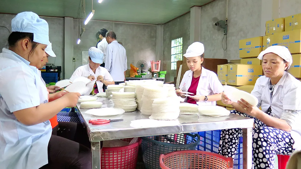 Lao động nông thôn làm việc trong một hợp tác xã sản xuất bánh tráng ở huyện Củ Chi