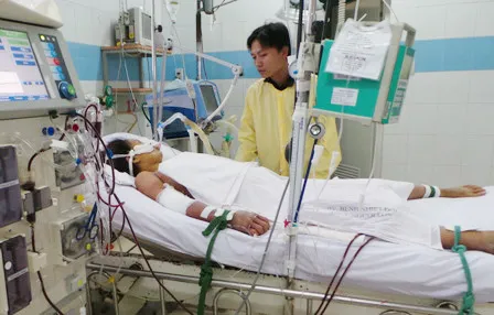 Các ca sốt xuất huyết ở người lớn không ngừng gia tăng