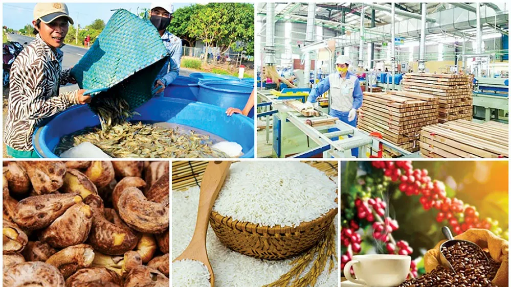 Xuất khẩu qua kênh số cả doanh nghiệp Việt