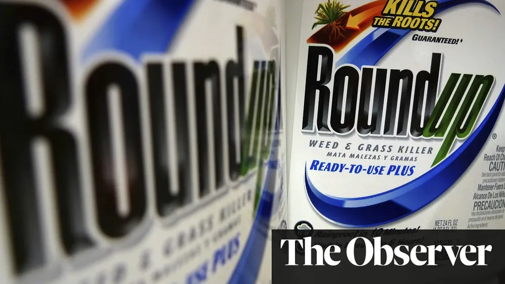 Thành phần glyphosate có trong thuốc diệt cỏ Roundup được tìm thấy trong bánh mì bán tại Anh (Ảnh : The Guardian) 