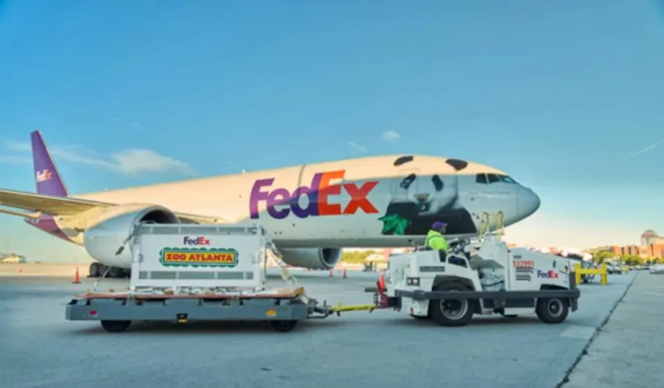 Hai chú gấu trúc được vận chuyển trên chiếc máy bay Boeing 777-F của FedEx, được gọi là "FedEx Panda Express". Ảnh do FedEx cung cấp