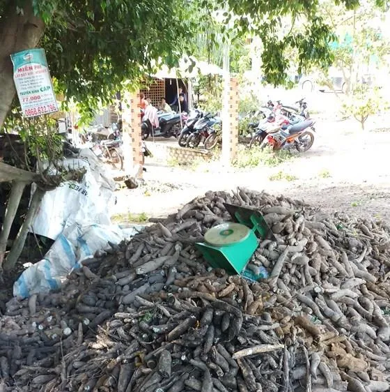  Hiện trường vụ việc 