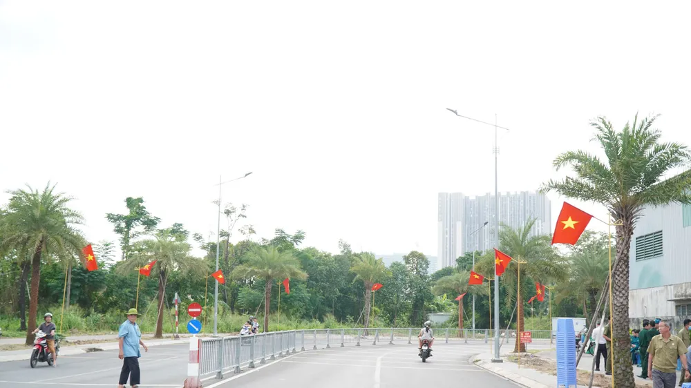Phường Lái Thiêu khánh thành “Tuyến đường hoa - tuyến đường cờ Tổ quốc”