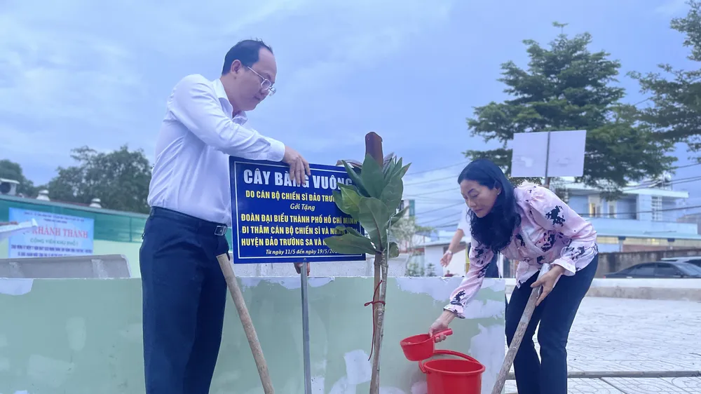 Cây bàng vuông từ Trường Sa được trồng ở khu dân cư ở TP Thủ Đức