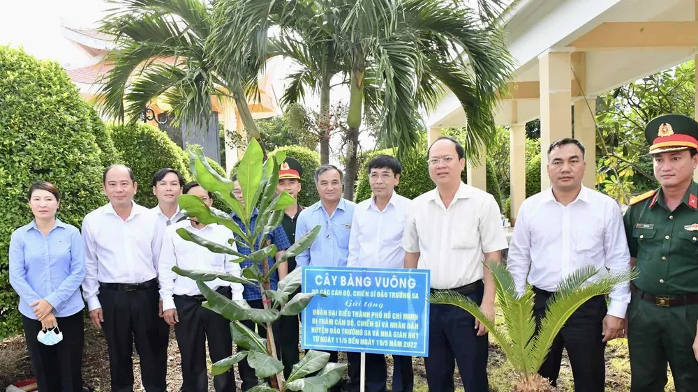 Thêm cây bàng vuông ở Trường Sa đến với huyện Cần Giờ