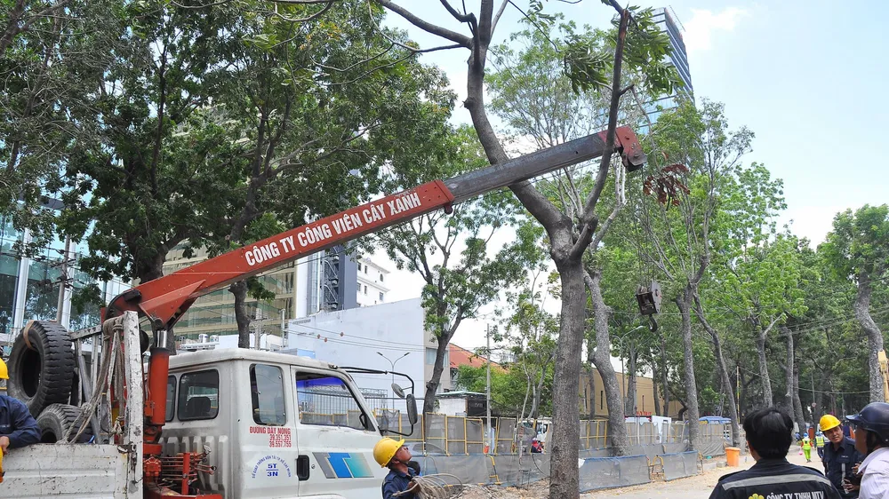 Đốn hạ 143 cây xanh trên đường Tôn Đức Thắng để xây cầu Thủ Thiêm 2