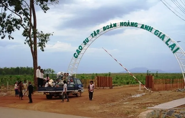 Các nhà đầu tư Việt Nam chủ yếu đầu tư sang Lào trong lĩnh vực nông, lâm nghiệp