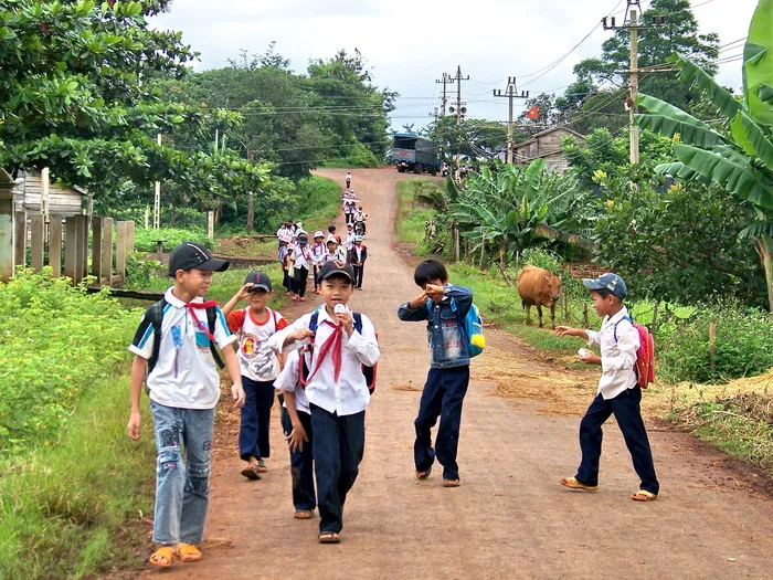 Học sinh đã tham gia bảo hiểm y tế không thể tham gia bảo hiểm y tế theo nhóm hộ gia đình có nhiều người cùng tham gia