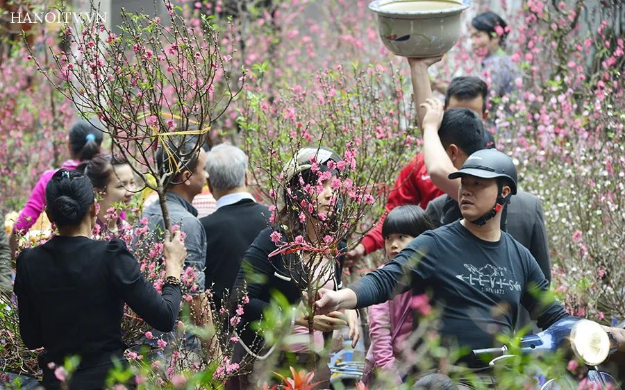 Mặt hàng hoa và cây cảnh đã “kéo” chỉ số giá nhóm hàng hóa dịch vụ khác tăng 0,22% 