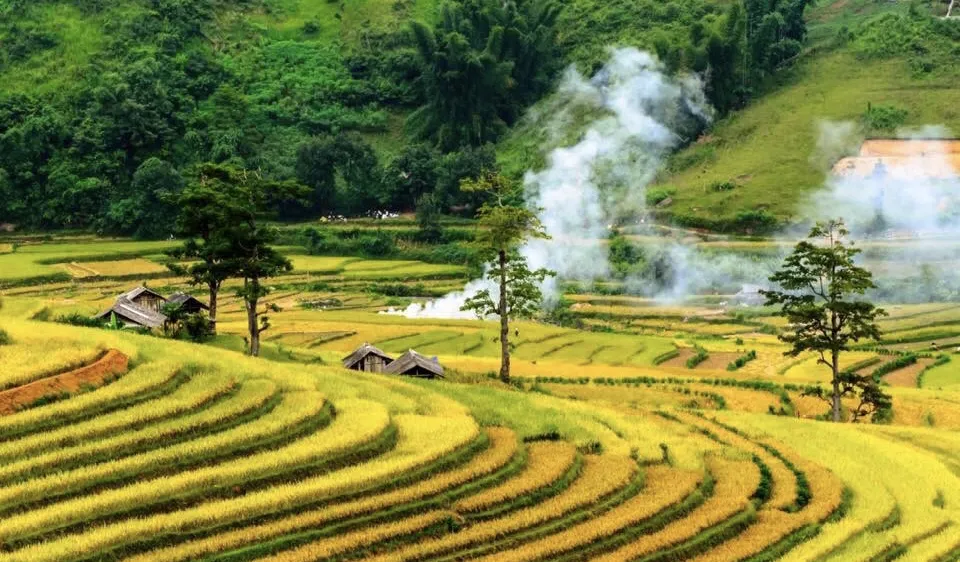 Phụ phẩm nông sản đang bị lãng phí
