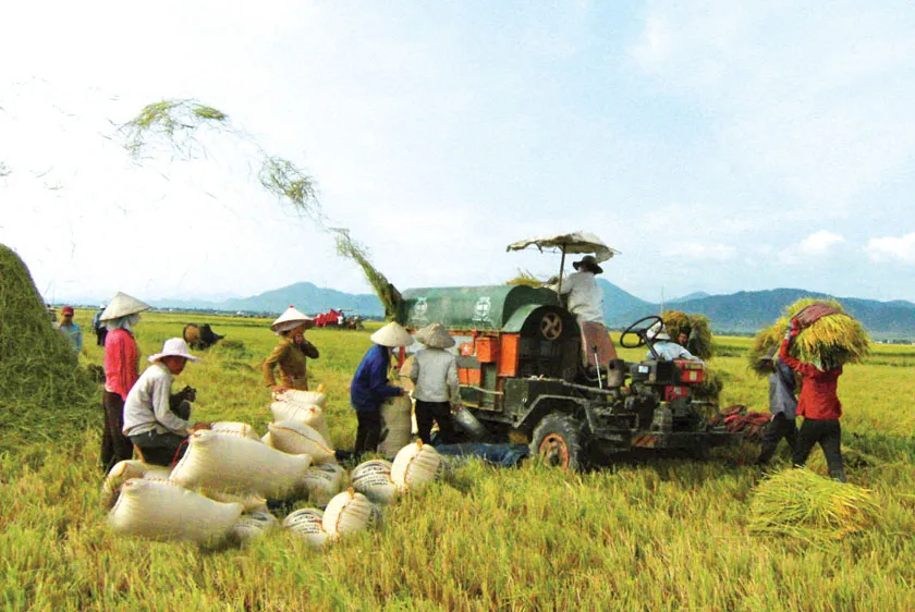 Nghị quyết về miễn, giảm thuế SDĐNN có hiệu lực thi hành từ ngày 1-1-2021