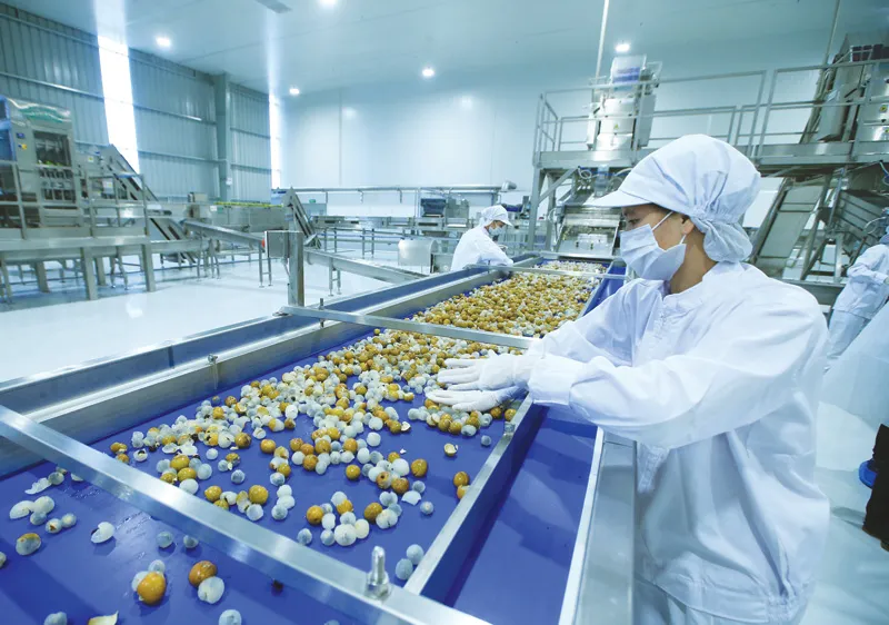 Trong trường hợp Quốc hội quyết định tiếp tục thu kinh phí công đoàn từ người sử dụng lao động, doanh nghiệp kiến nghị dành khoản tiền này chỉ phục vụ cho việc chăm lo đời sống người lao động tại doanh nghiệp