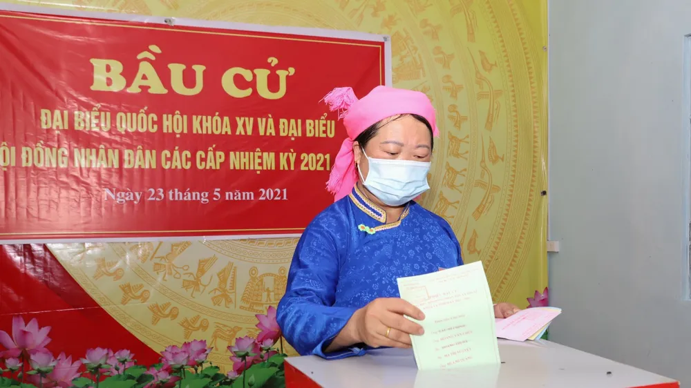Hà Giang cũng là địa phương có tỷ lệ cử tri đi bỏ phiếu cao. Ảnh: QUANG PHÚC