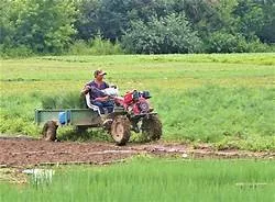 Công tác thi đua khen thưởng sẽ chú trọng khen thưởng công nhân, nông dân, người trực tiếp lao động, sản xuất, công tác
