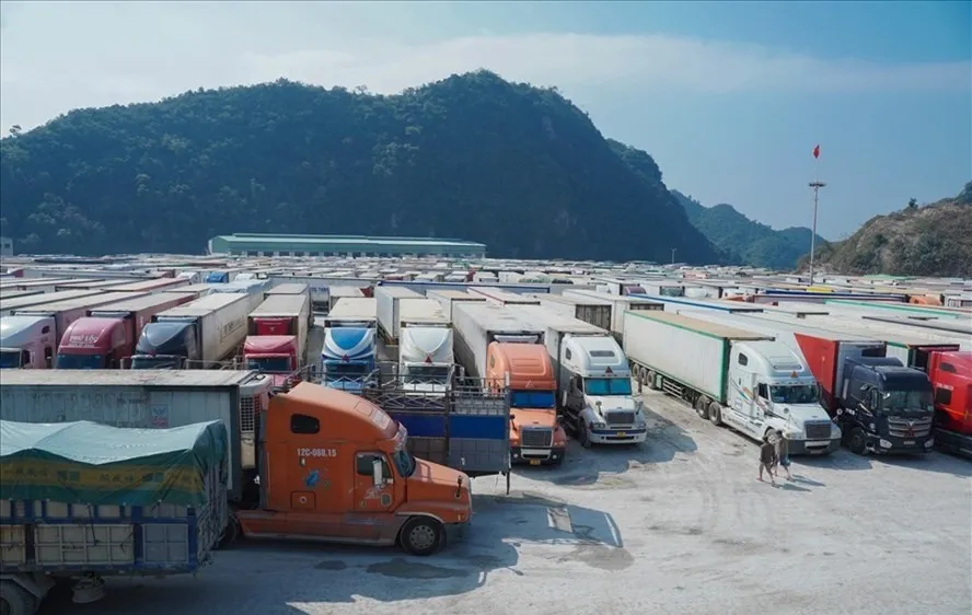 Tình trạng ùn tắc nông sản xuất khẩu tại các cửa khẩu biên giới phía Bắc thường xuyên xảy ra
