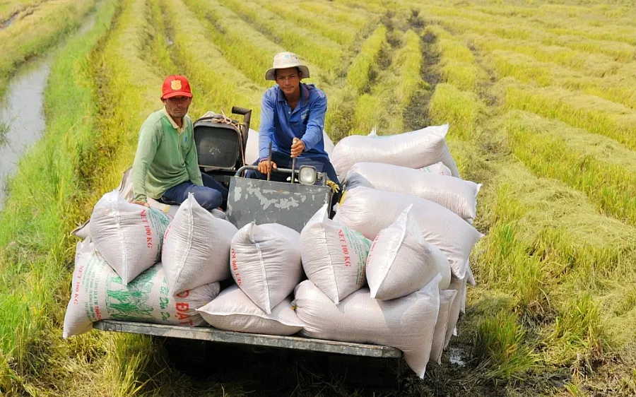 An ninh lương thực quốc gia được đảm bảo