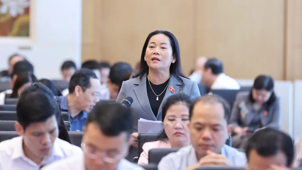 ĐB Lê Thị Thanh Lam (TP Cần Thơ) phát biểu tại hội nghị. Ảnh: QUANG PHÚC 