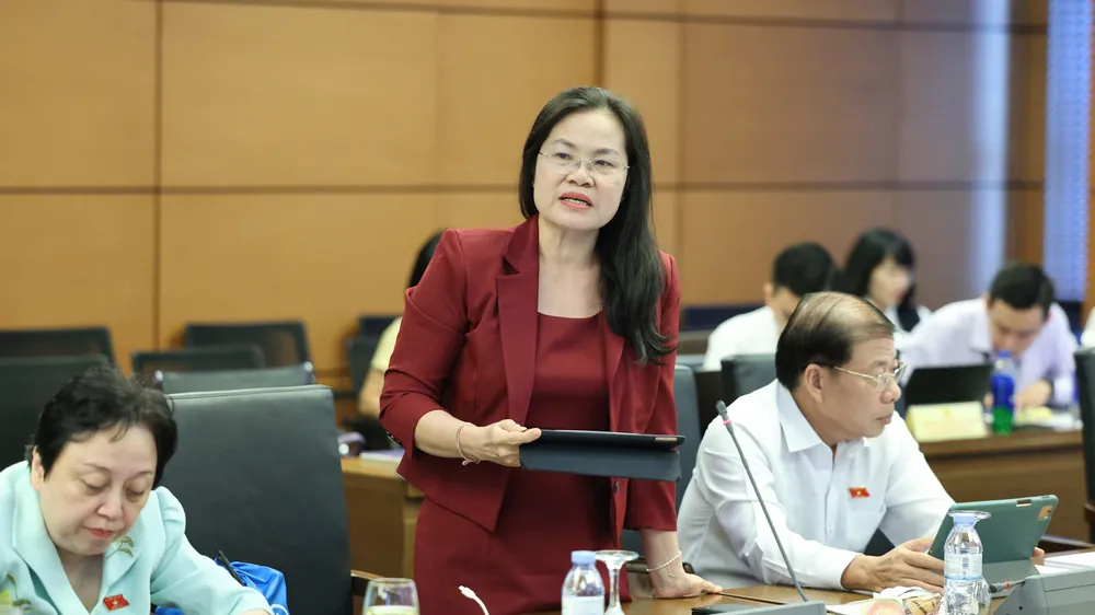 ĐB Nguyễn Thị Hồng Hạnh, Giám đốc Sở Tư pháp TPHCM, góp ý hoàn thiện Luật Nuôi con nuôi (sửa đổi). Ảnh: QUANG PHÚC 
