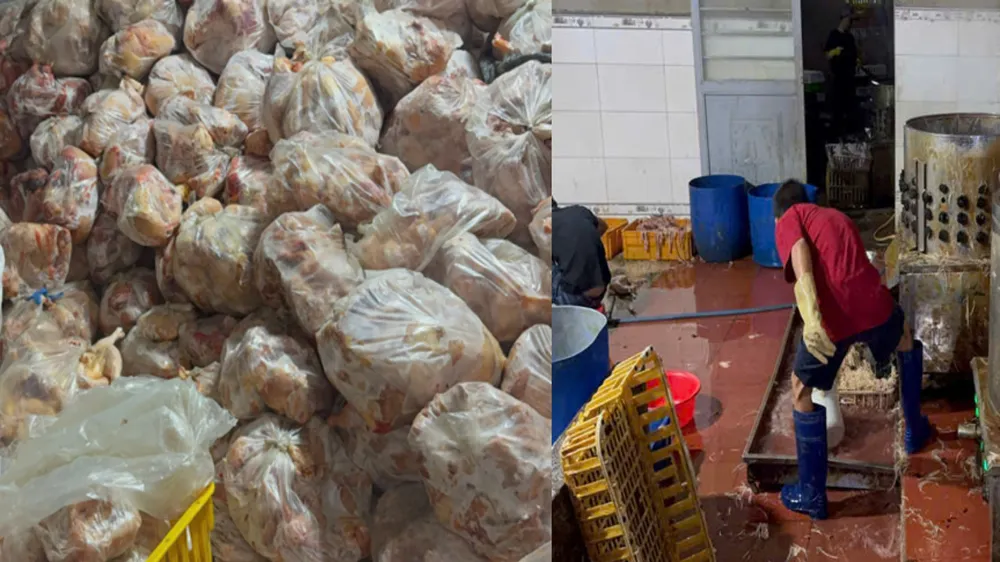 Khánh Hòa: Phát hiện hơn 10 tấn thịt gà không rõ nguồn gốc