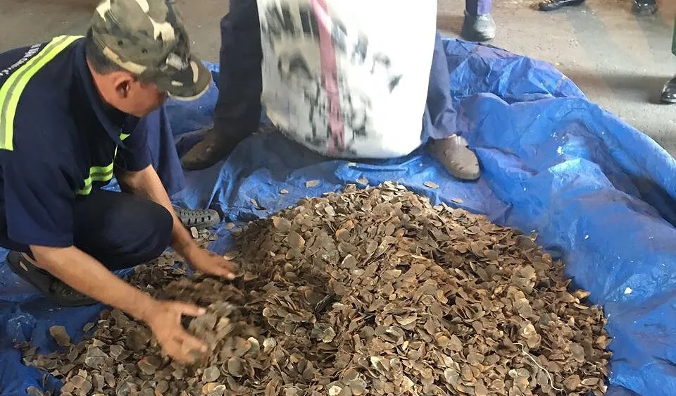 Tang vật thu giữ. Ảnh: ĐAN NGUYÊN