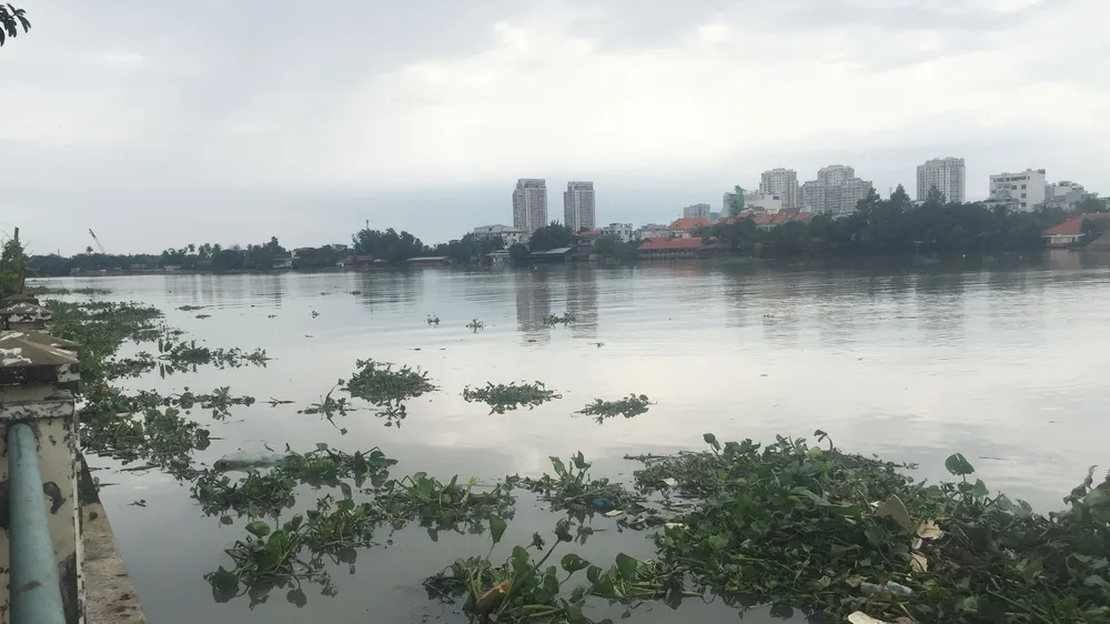 Phát hiện thi thể nam thanh niên trôi trên sông Sài Gòn