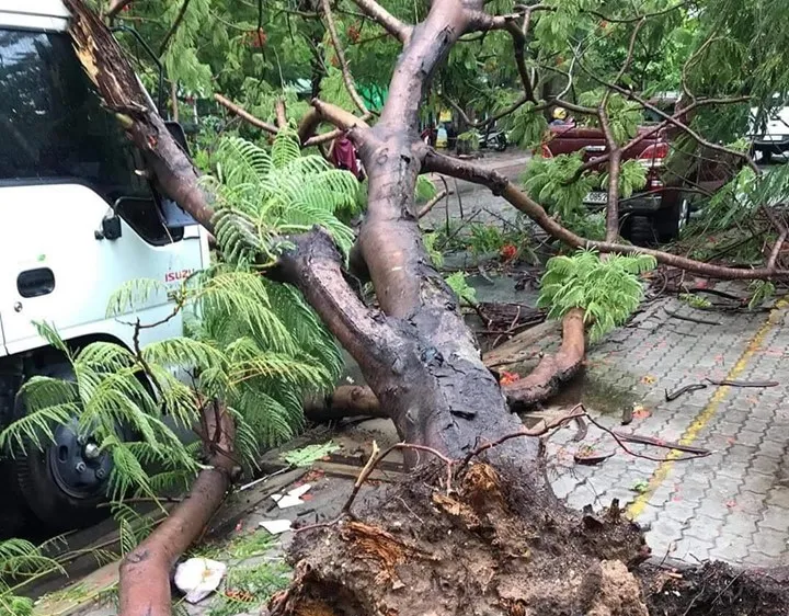 Hiện trường vụ việc