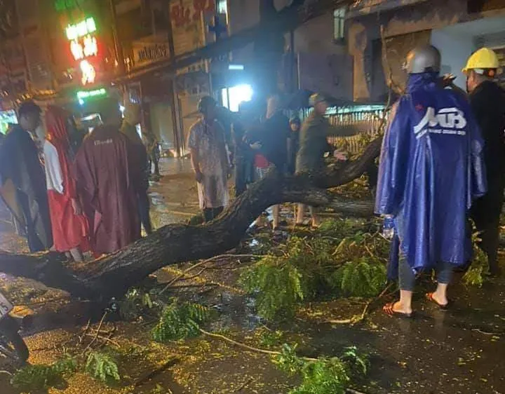 Hiện trường vụ việc
