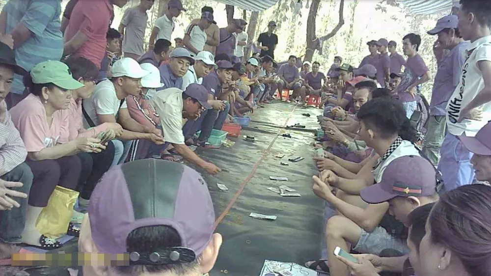 Truy tố nhóm người tham gia sới bạc giữa rừng. Ảnh: T.T