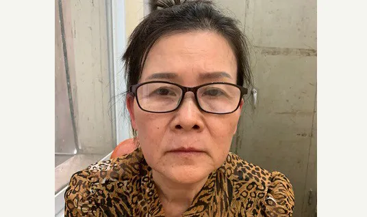 Khởi tố, bắt tạm giam nữ giáo viên nghỉ hưu làm giả con dấu, tài liệu của cơ quan, tổ chức