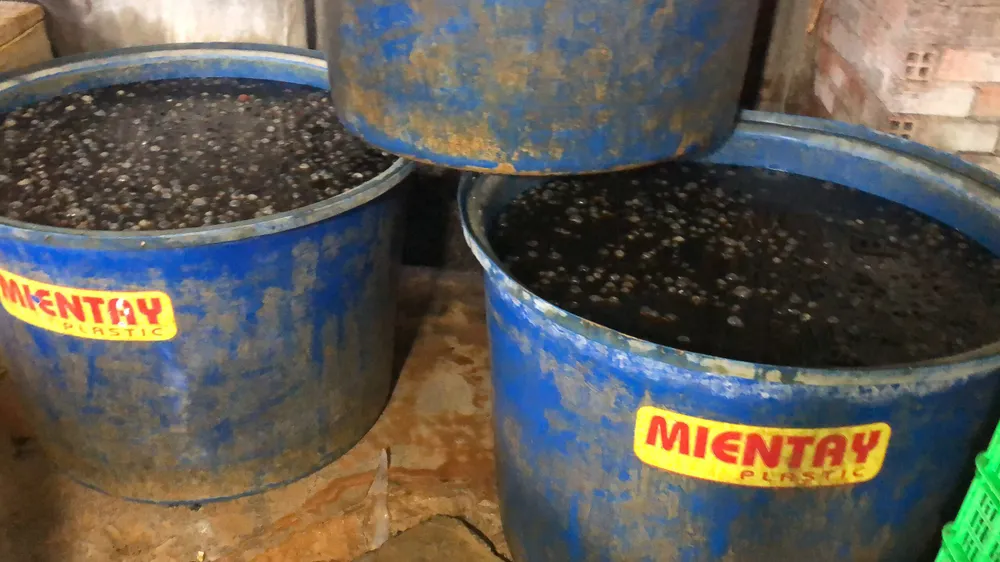 Phát hiện 1,8 tấn ốc ngâm hoá chất 