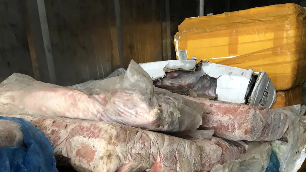 Phát hiện 2 thùng container chứa 10 tấn nội tạng, thịt động vật trôi nổi