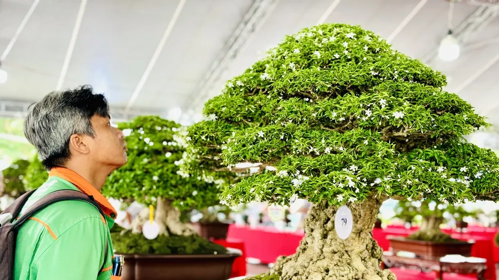 Người dân tham quan tại hội thi triển lãm sinh vật cảnh TPHCM năm 2024 ở công viên Dương Đình Nghệ.