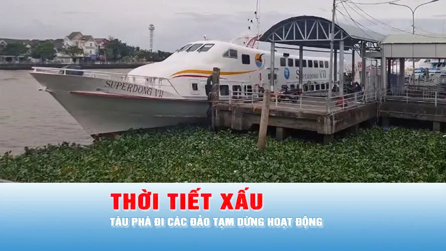 Podcast bản tin trưa 25-8: An Giang - Tàu phà đi các đảo tạm dừng hoạt động do thời tiết xấu