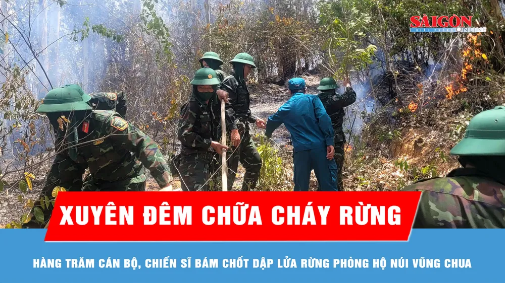 Gia Lai: Cháy rừng phòng hộ, giải cứu kịp thời 2 người dân