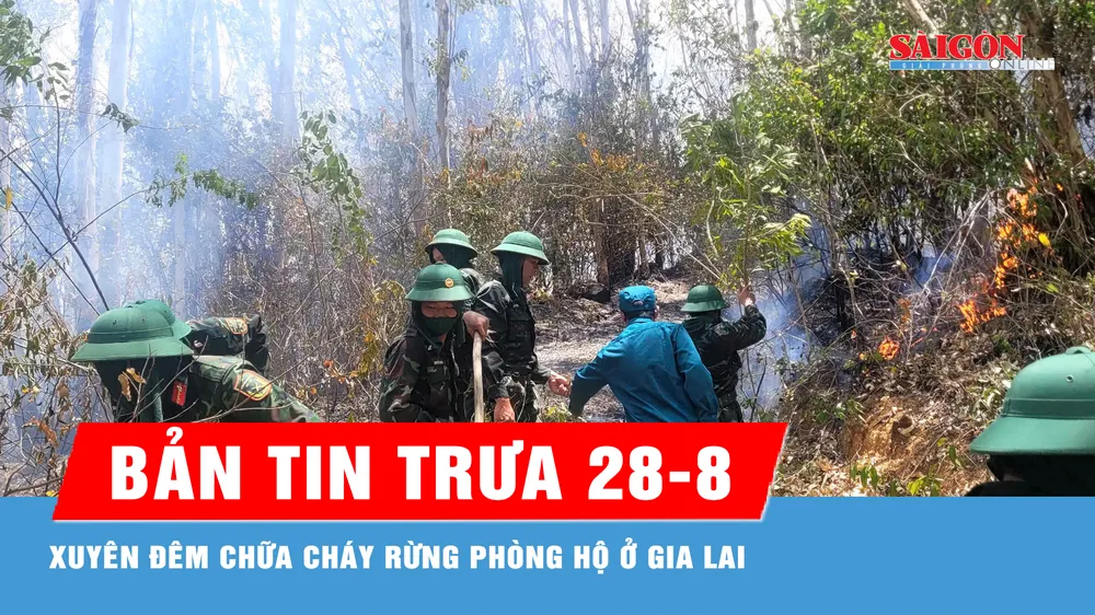 Bản tin trưa 28-8: Hàng trăm cán bộ, chiến sĩ bám chốt, chữa cháy rừng phòng hộ núi Vũng Chua 