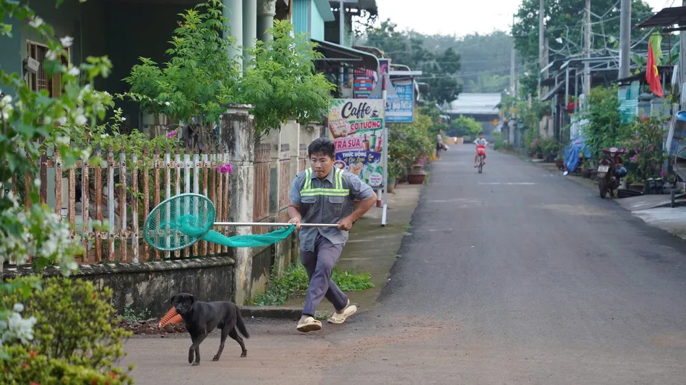 Xã Châu Đức bắt chó thả rông, ngăn nguy cơ tai nạn