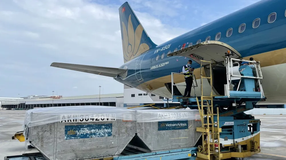 10 tấn vải thiều đầu tiên được xuất sang Nhật Bản bằng máy bay