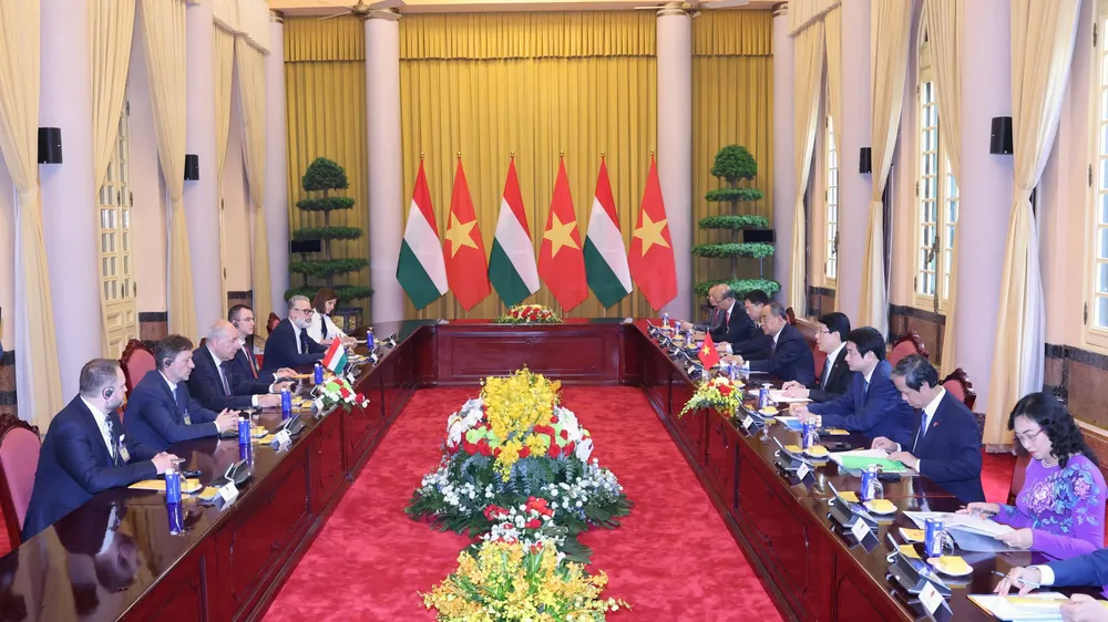 Chủ tịch nước Lương Cường và Tổng thống Hungary Sulyok Tamás tiến hành hội đàm. Ảnh: QUANG PHÚC