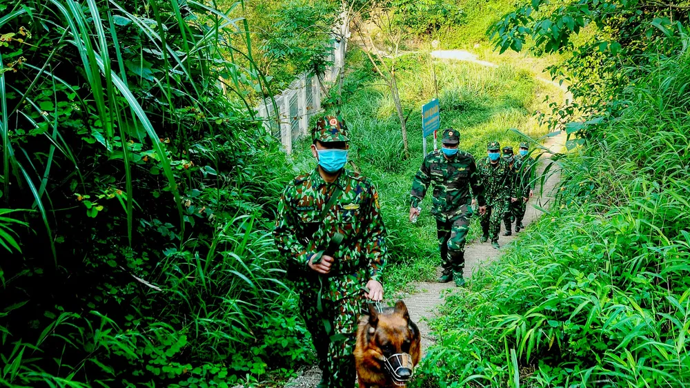 Hàng lậu, gian lận thương mại “biến tướng” phức tạp