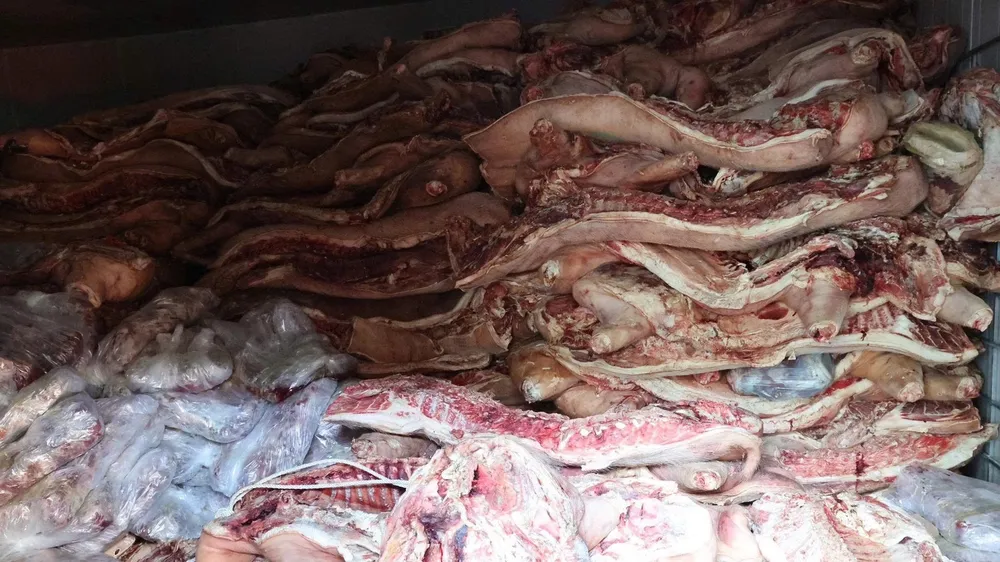 Phú Thọ: Khởi tố đối tượng cố tình giết mổ, trữ đông gần 38 tấn thịt heo nhiễm bệnh