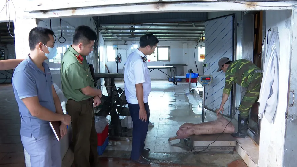 Hưng Yên: Khởi tố vợ chồng cố ý giết mổ heo nhiễm bệnh