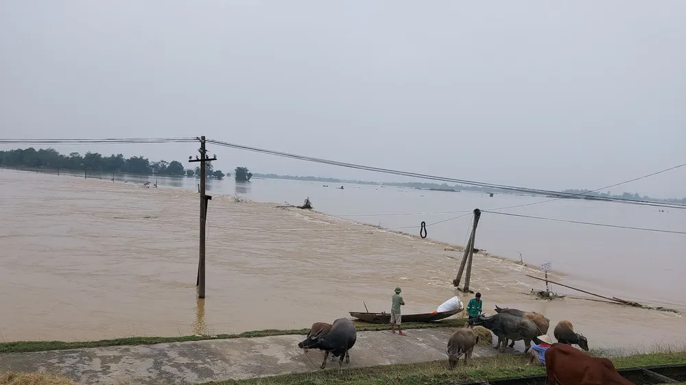 Nghệ An: 7 người chết do mưa lũ