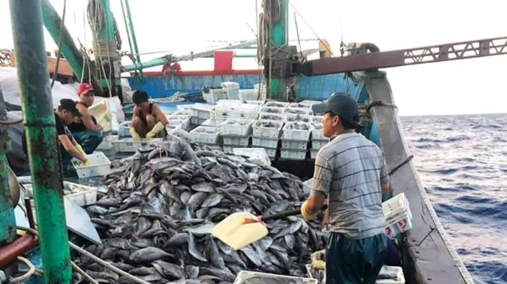 Cứu sống 8 ngư dân bị chìm tàu trên biển