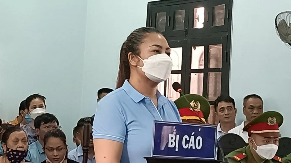 Mẹ chồng lãnh 20 tháng tù vì “giải cứu” con dâu