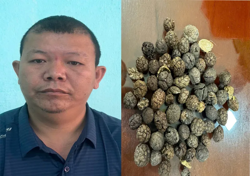 Khởi tố đối tượng buôn lậu hơn 17 tấn dược liệu qua biên giới